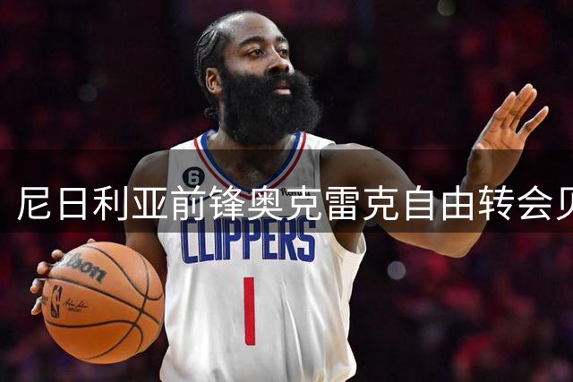 尼日利亚前锋奥克雷克自由转会贝内文托