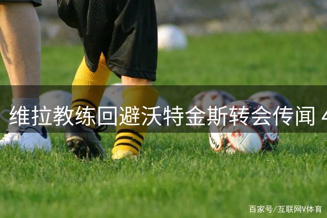 维拉教练回避沃特金斯转会传闻 4500万镑报价遭拒